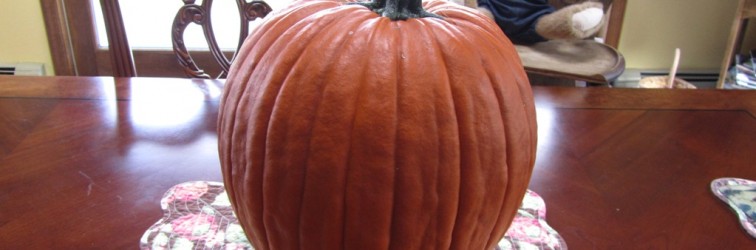 IMG_3527_0788 1st Picked Accidental Pumpkin