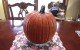 IMG_3527_0788 1st Picked Accidental Pumpkin